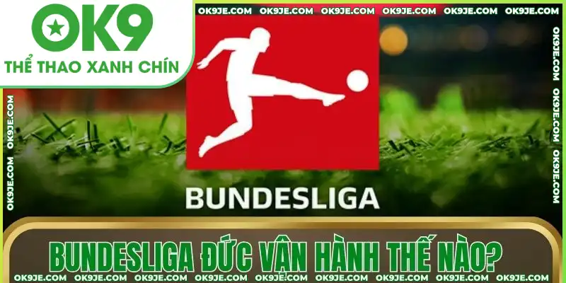 Bundesliga Đức vận hành thế nào?