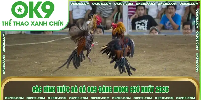Các hình thức đá gà OK9 đáng mong chờ nhất 2025