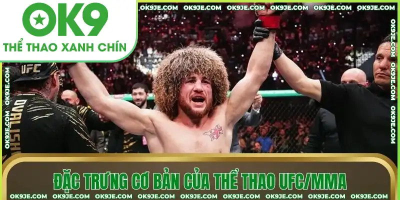 Đặc trưng cơ bản của thể thao UFC/MMA